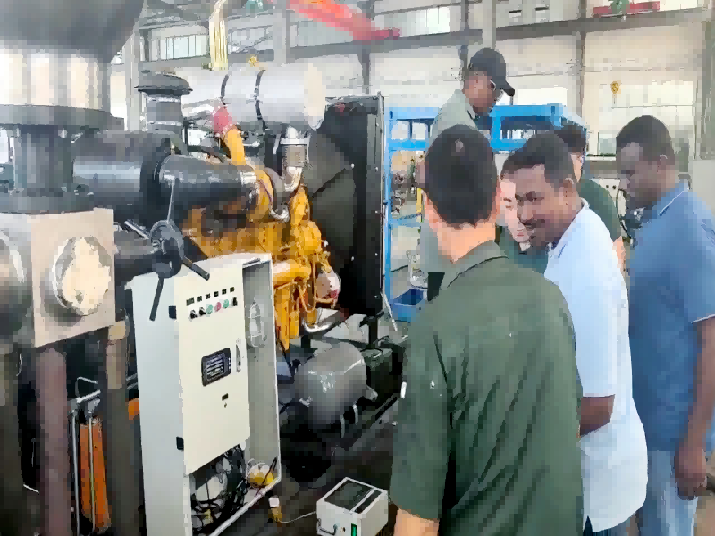 Elephant Machinery Successfully Holds Factory Acceptance Ceremony for Crude Oil Transfer Pumps for Sudan National Petroleum Pipeline Company
